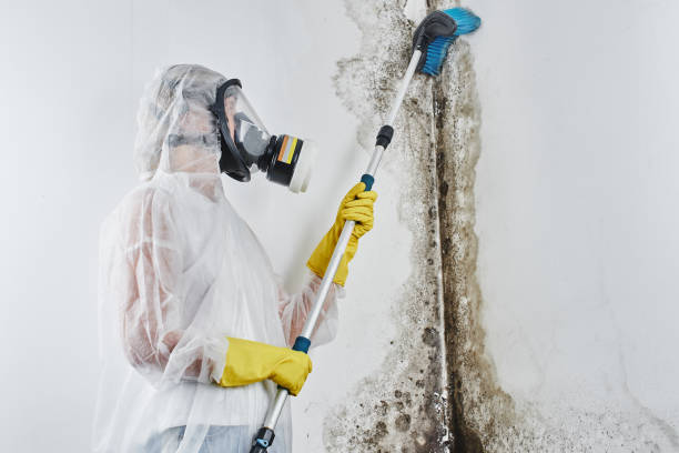 Pierre Part, LA Mold Remediation Company