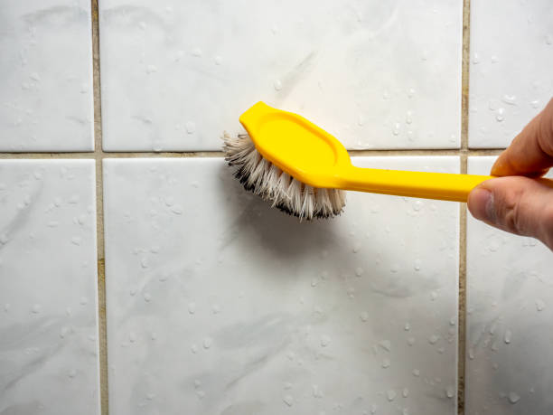 Best Mold Testing and Inspection Services in Pierre Part, LA
