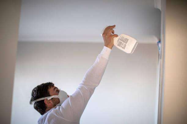 Best Black Mold Remediation in Pierre Part, LA
