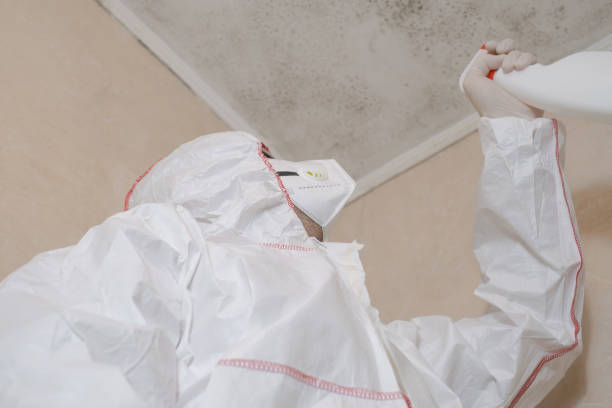 Best Mold Remediation for Specific Building Types in Pierre Part, LA